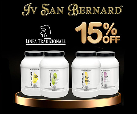 Iv San Bernard Iv San Bernard