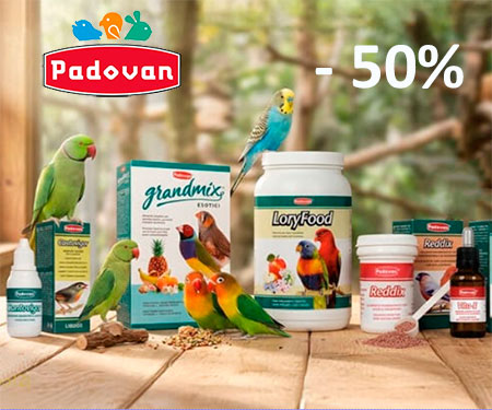Padovan
