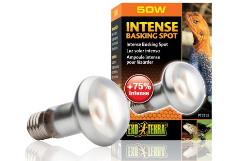 Exo Terra - лампа Экзо Терра для террариумов дневная S20/50W (PT2135)
