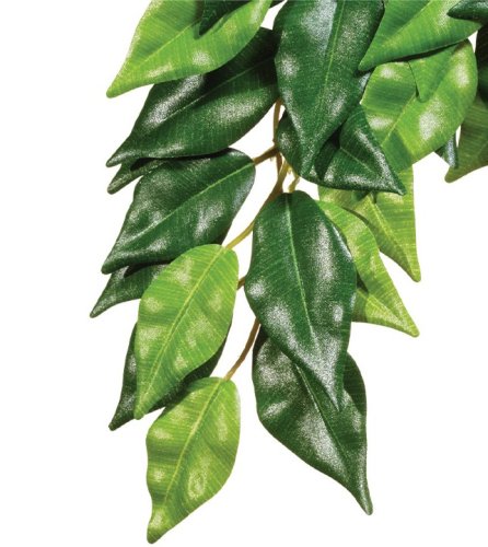 Exo Terra Ficus - растение Экзо Терра Фикус шелковое L (PT3050)