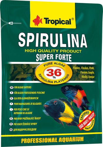 Tropical Super Spirulina Forte - корм Тропікал Супер Спіруліна Форту для водорослеїдних риб 12 г (70311)