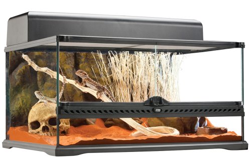 Exo Terra - террариум Экзо Терра стеклянный серия Medium 60х45х30 см (PT2604) Exo Terra - террариум Экзо Терра стеклянный серия Medium 60х45х30 см (PT2604)