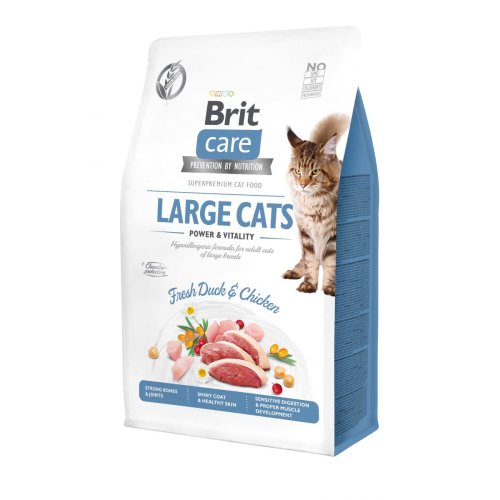 Brit Care Cat GF Large Power & Vitality - корм Брит беззерновий для котів великих порід з качкою та куркою 400 г (171311/0921)