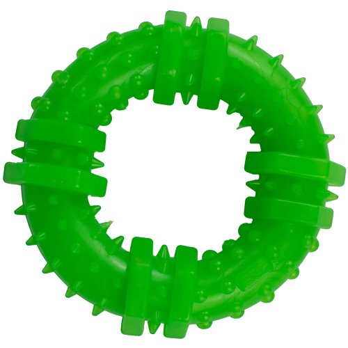 Игрушка Agility для собак Кольцо с шипами 9 см, зеленое