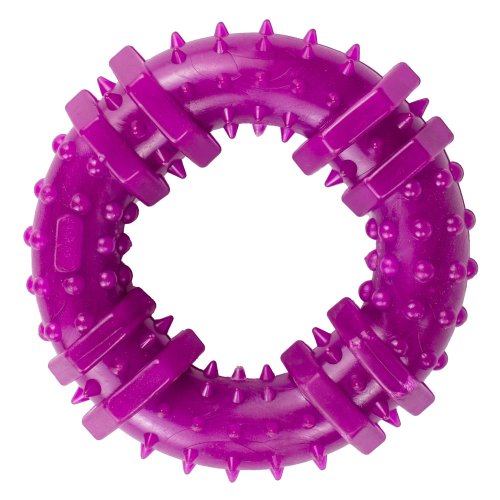 Игрушка Agility для собак Кольцо с шипами 12 см, фиолетовое