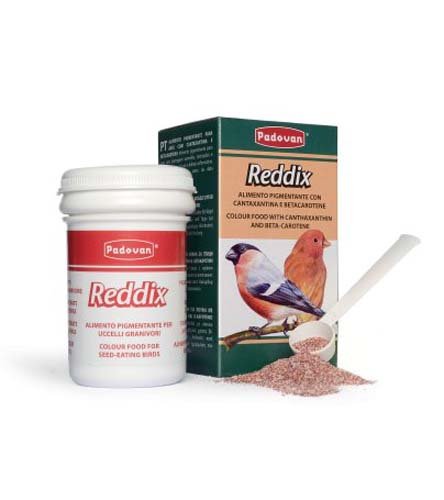 Padovan Reddix - корм додатковий пігментуючий для зерноїдних птахів, 30 г