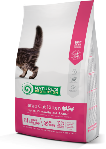 Сухий корм для кошенят великих порід Nature's Protection Large cat Kitten 2кг  Сухий корм для кошенят великих порід Nature's Protection Large cat Kitten 2кг