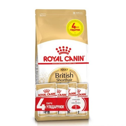 Акція! Royal Canin British Shorthair - корм Роял Канін для британських короткошерстих 2 кг + 4 паучі