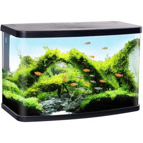 Акваріум Resun Vision 60 комплект: LED світло, фільтр, овал 610х306х398мм