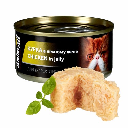 Вологий корм AnimAll для котів, курка у ніжному желе, 85г