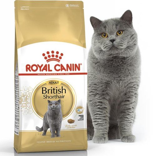 Royal Canin British Shorthair - корм Роял Канин для британских короткошерстных 4 кг (2557040)