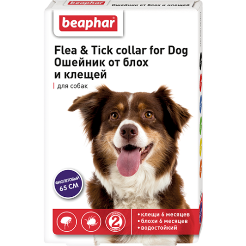 Beaphar - нашийник Біфар від бліх і кліщів для собак фіолетовий 65 см (10198)