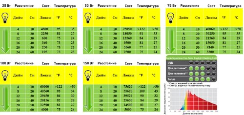 Exo Terra - лампа Экзо Терра неоновая зеркальная для террариумов R20/75W (PT2132)