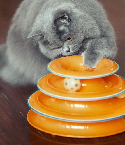 Petstages - трек Петстейджес «Вежа з м'ячиками» для котів 15х25 см