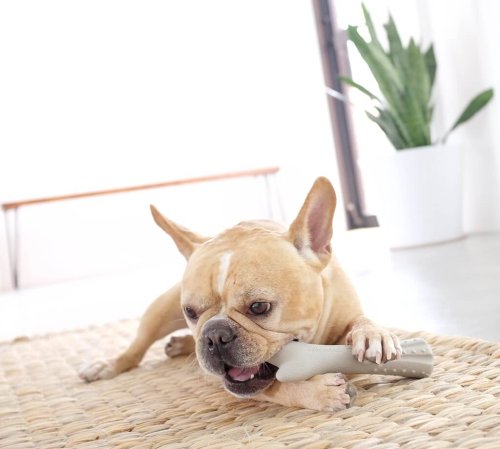 Petstages - іграшка Петстейджес «Оленячий ріг» для собак 12,7 см