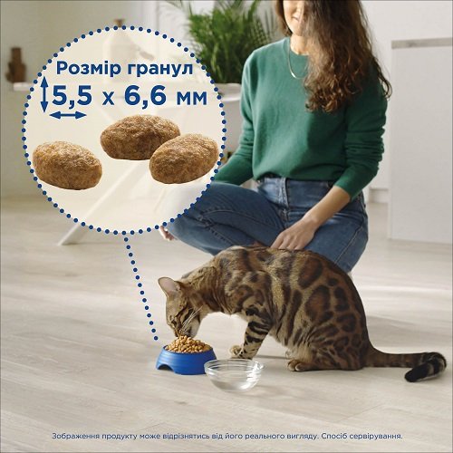 Cat Chow Hairball Controll - корм Кет Чау корм для запобігання утворення кульок шерсті у шлунку 1,5 кг 5997204514486 
