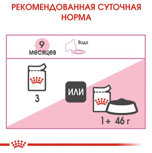 Акція! Royal Canin Kitten Sterilised in gravy 3+1  - корм Роял Канін для стерилізованих кошенят 85 г