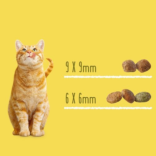 Сухий корм FRISKIES Sterilized для дорослих котів після стерилізації з лососем, тунцем та овочами 10 кг

