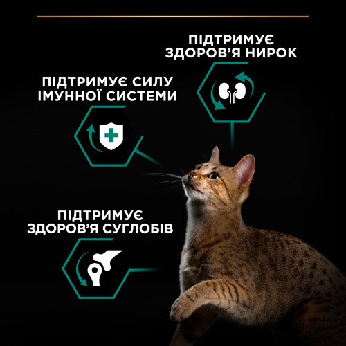 Сухой корм PRO PLAN Adult 1+ Renal Plus для взрослых кошек с курицей 1.5 кг