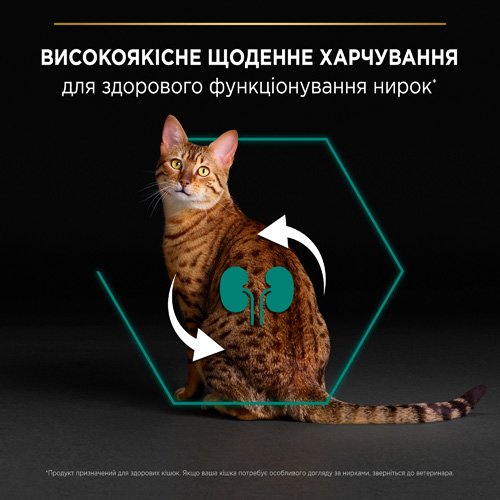 Сухий корм PRO PLAN Adult 1+ Renal Plus для дорослих котів з куркою 14 кг
