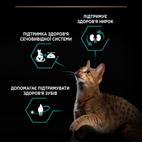 Сухий корм PRO PLAN Sterilised Adult 1+ Renal Plus для дорослих котів після стерилізації з кроликом 1.5 кг
