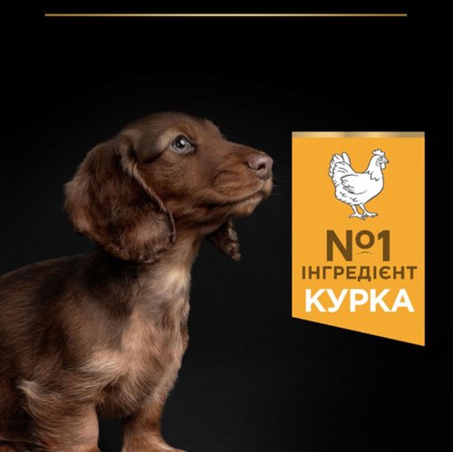 Сухий корм PRO PLAN Puppy Small&Mini для цуценят дрібних порід з куркою 3 кг