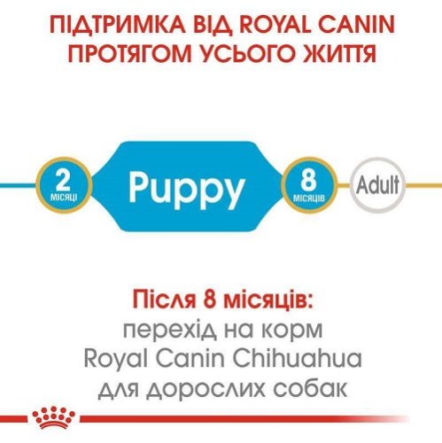 Акція! Royal Canin Chihuahua Puppy - корм Роял Канін для цуценят породи Чихуахуа з м'ясом птиці 1,5 кг + подарунок (11935)