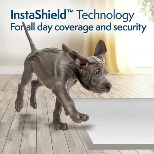 Simple Solution FragranceSmart Odor Control Puppy Training Pads - вологопоглинаючі гігієнічні пелюшки для собак з ароматом зеленого чаю і нейтралізатором запаху 60x61см, 100 шт