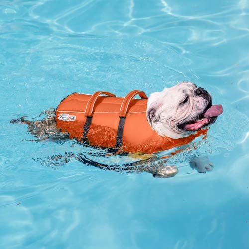 Рятувальний жилет для собак Outward Hound Granby Splash помаранчевий XL