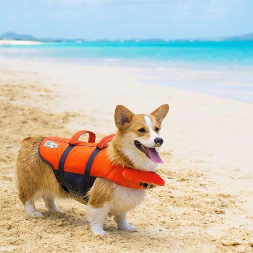 Рятувальний жилет для собак Outward Hound Granby Splash помаранчевий XL