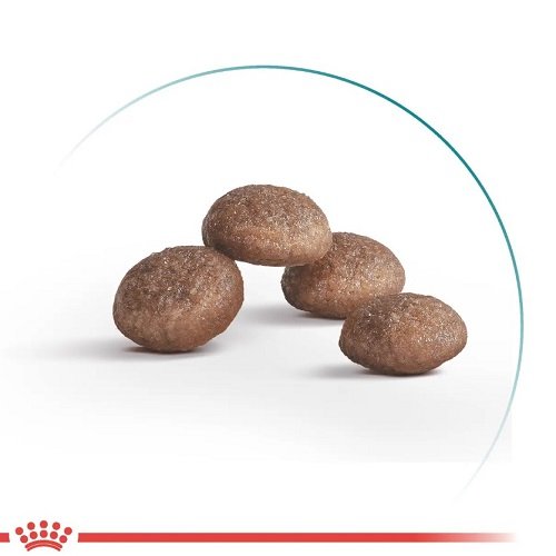 Royal Canin Ageing 11+ - корм Роял Канін для котів віком від 11 років, 2 кг