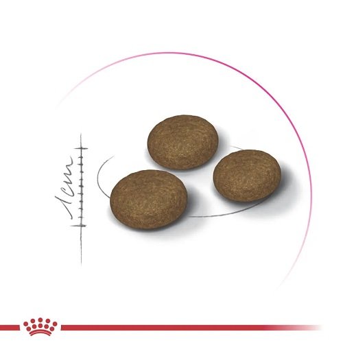 Royal Canin Fussy - корм Роял Канін для дорослих котів з вибагливим апетитом, 4 кг