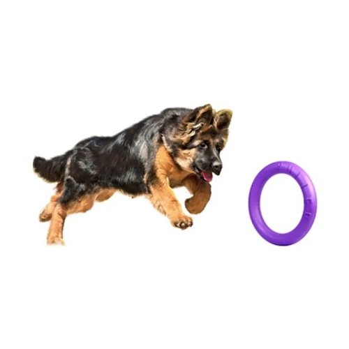 Тренувальний снаряд для собак Colar Puller Standard, діаметр 28 см