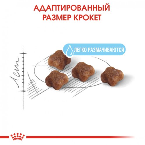 Royal Canin Mother and Babycat - корм Роял Канін для кошенят у віці від 1 до 4 місяців 400 г (2544004) 