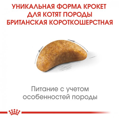 Royal Canin British Shorthair Kitten - корм Роял Канін для кошенят британських короткошерстих 400 г (2566004) 