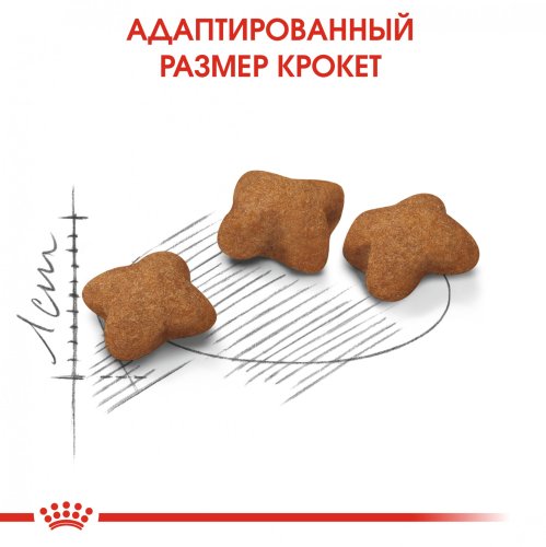 Royal Canin Kitten Sterilised - корм Роял Канін для стерилізованих кошенят 400 г (2562004) 