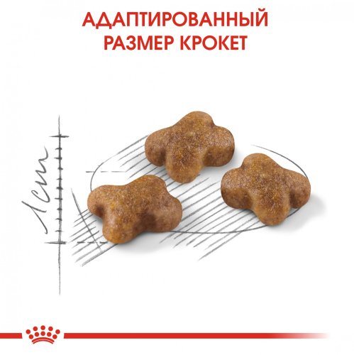 Royal Canin Kitten - корм Роял Канин для котят в возрасте от 4 до 12 месяцев 1,2 кг 