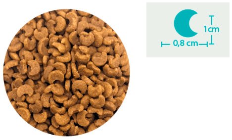 Сухий корм BonaCibo Adult Cat Sterilised Salmon з лососем для дорослих стерилізованих котів та котів із зайвою вагою 2 кг
