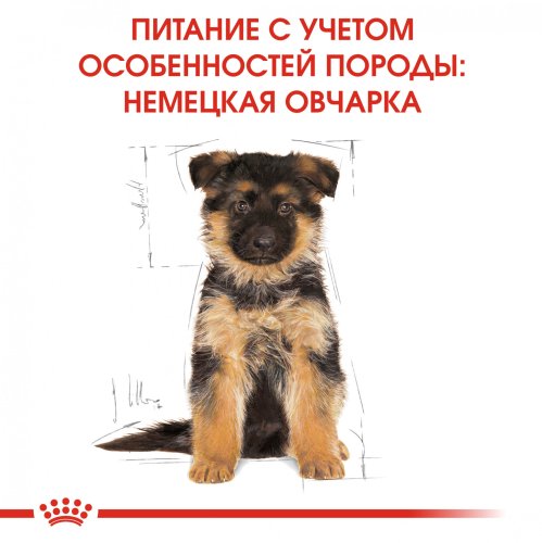 Royal Canin German Shepherd Puppy/Junior - корм Роял Канін для щенят німецької вівчарки 12 кг (25191201) 