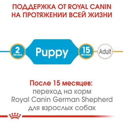 Royal Canin German Shepherd Puppy/Junior - корм Роял Канін для щенят німецької вівчарки 12 кг (25191201) 