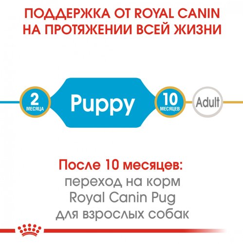 Royal Canin Pug Junior - корм Роял Канін для щенят мопсів 1,5 кг (41300151) 