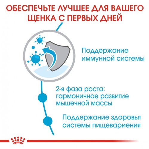 Royal Canin Giant Puppy - корм Роял Канін для щенят гігантів від 2 до 8 місяців 15 кг (3030150)