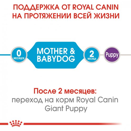 Royal Canin Giant Starter - корм Роял Канін для щенят гігантських порід собак 1 кг (2996010) 