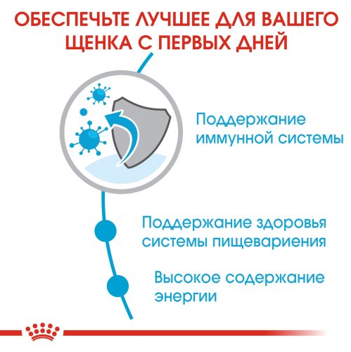 Royal Canin Mini Puppy/Junior - корм Роял Канин Мини Джуниор для щенков мелких пород 2 кг (30000202)