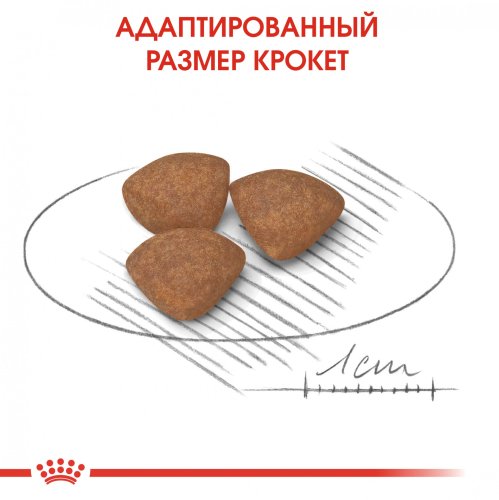 Royal Canin Mini Puppy/Junior - корм Роял Канин Мини Джуниор для щенков мелких пород 2 кг (30000202)