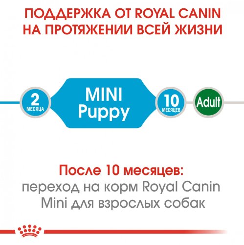 Royal Canin Mini Puppy/Junior - корм Роял Канин Мини Джуниор для щенков мелких пород 2 кг (30000202)