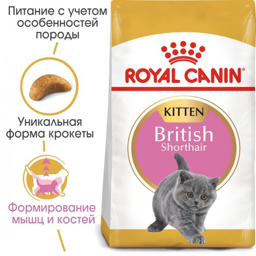Royal Canin British Shorthair Kitten - корм Роял Канін для кошенят британських короткошерстих 10 кг (2566100) 