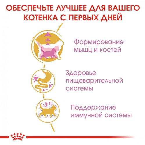 Royal Canin British Shorthair Kitten - корм Роял Канін для кошенят британських короткошерстих 10 кг (2566100) 