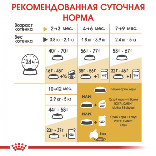 Royal Canin British Shorthair Kitten - корм Роял Канін для кошенят британських короткошерстих 10 кг (2566100) 