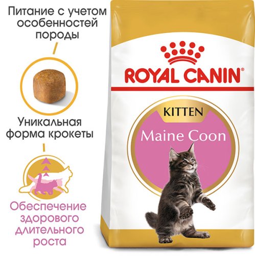 Royal Canin Maine Coon Kitten - корм Роял Канін для кошенят мейн-кунів 400 г (2558004) 